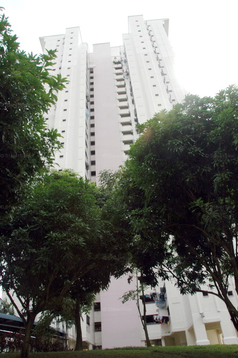 Blk 168 Petir Road (Bukit Panjang), HDB 5 Rooms #223242